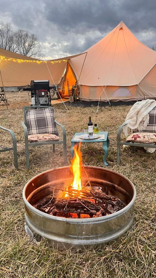 Shenandoah Valley Glamping - Amazing Views - Farm เอดินเบิร์ก ภายนอก รูปภาพ