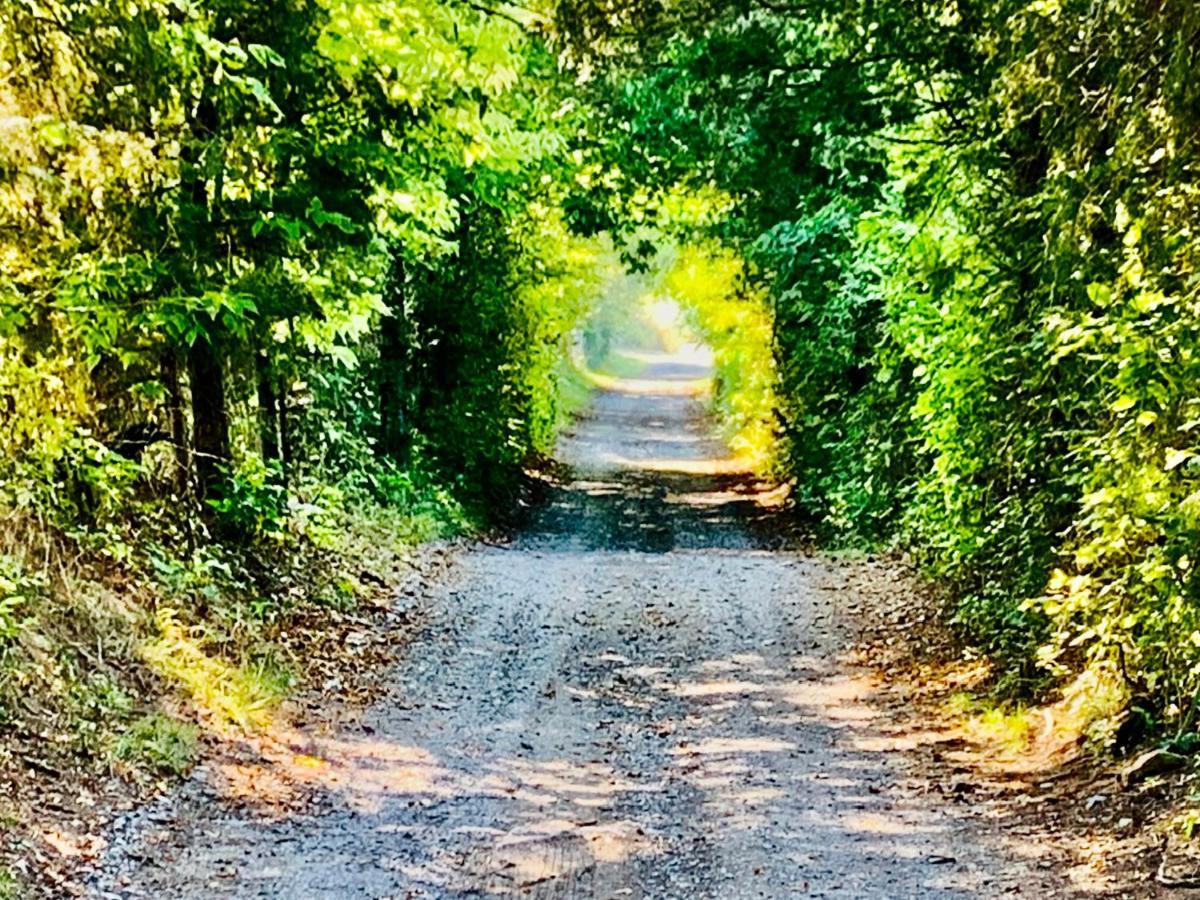 Shenandoah Valley Glamping - Amazing Views - Farm เอดินเบิร์ก ภายนอก รูปภาพ